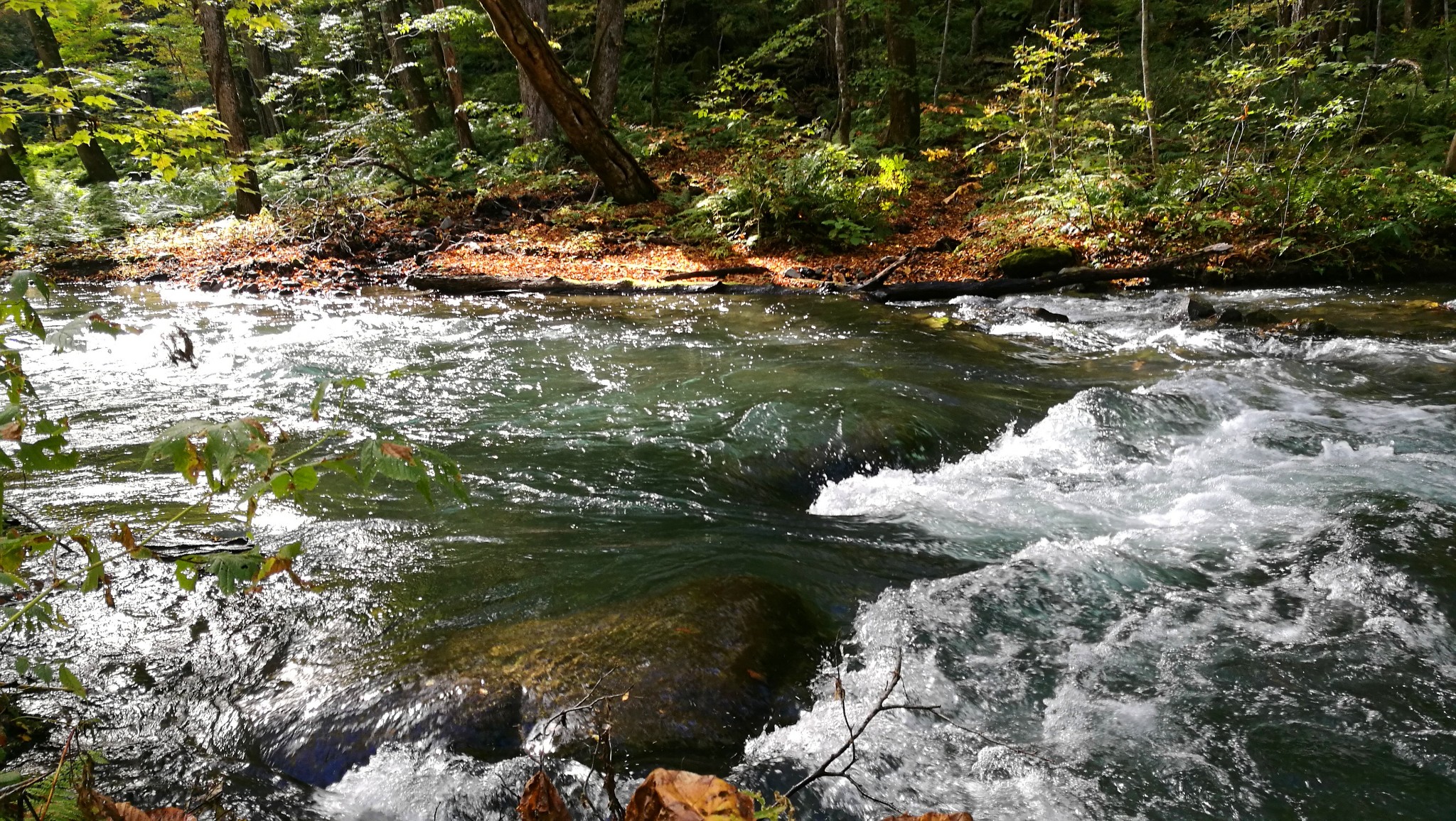 17秋之日本 青森游记 4 奥入濑溪 十和田湖 青森县旅游攻略 马蜂窝