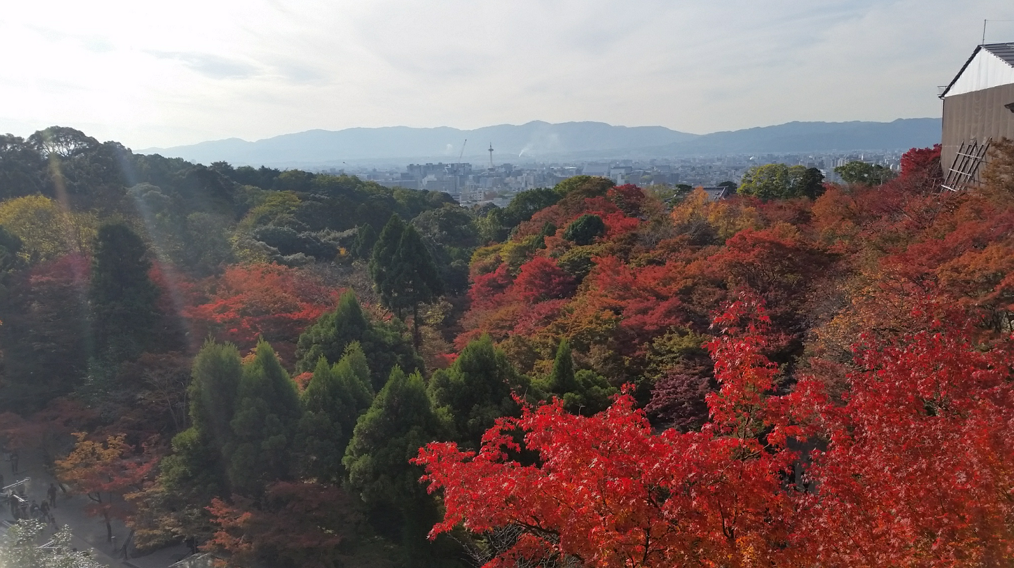 京都自助遊攻略