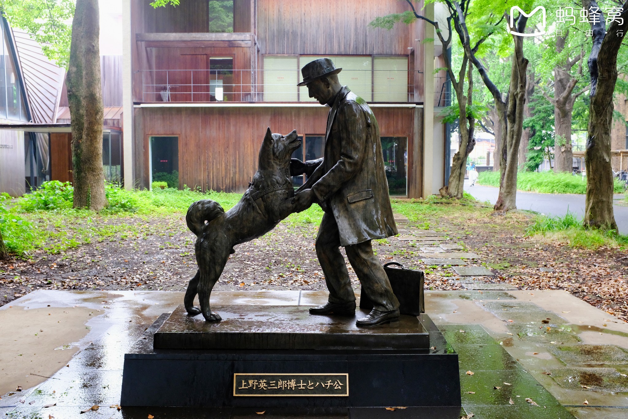 東京自助遊攻略