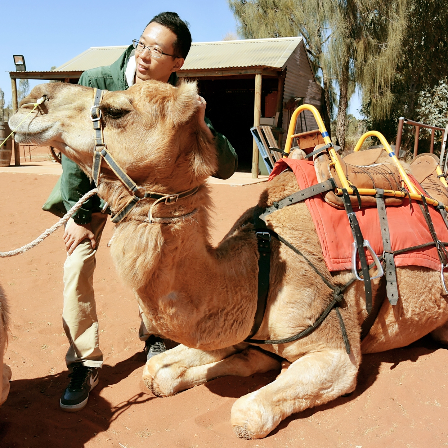 阿宅宅爱旅行