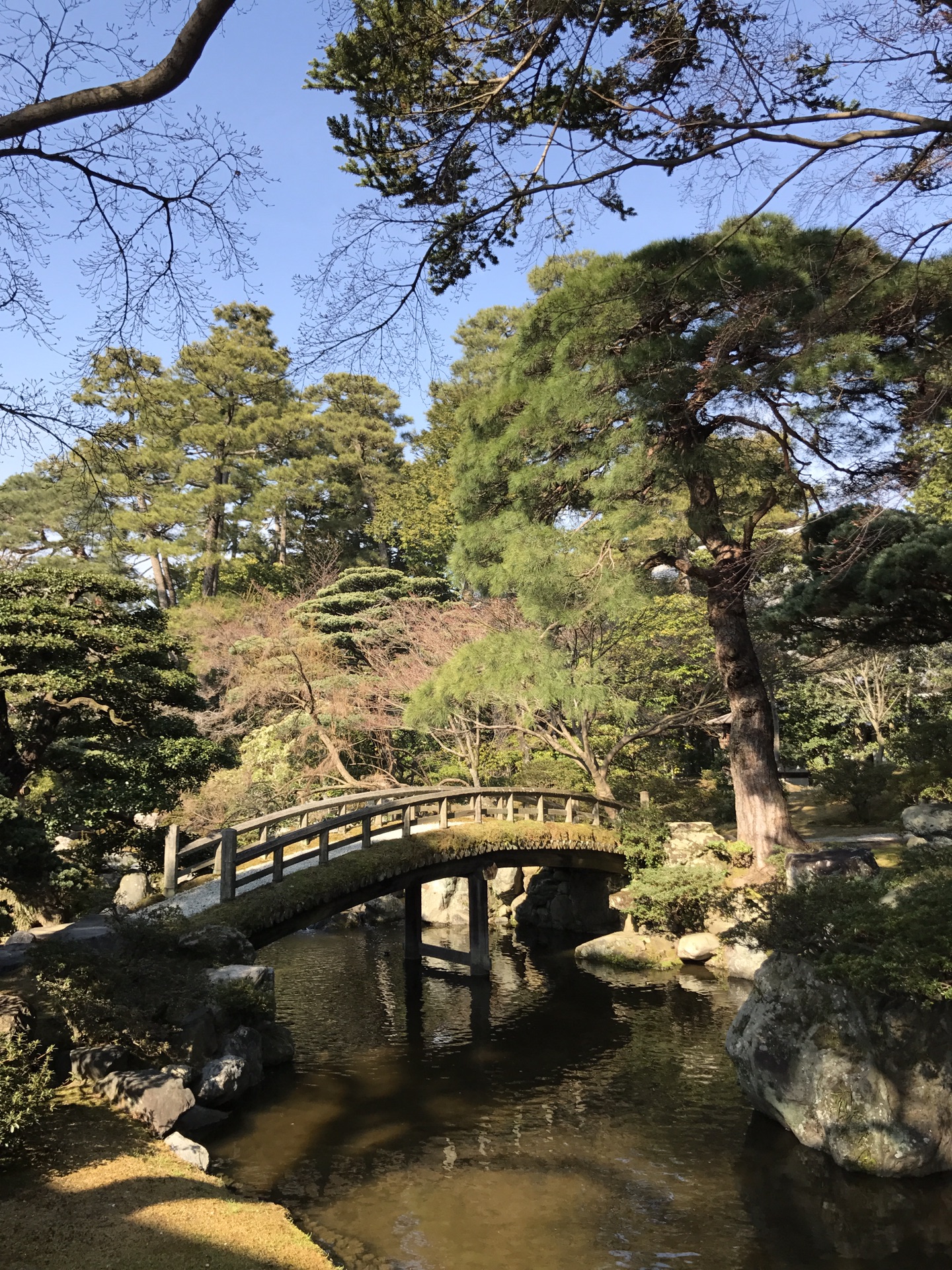 京都自助遊攻略