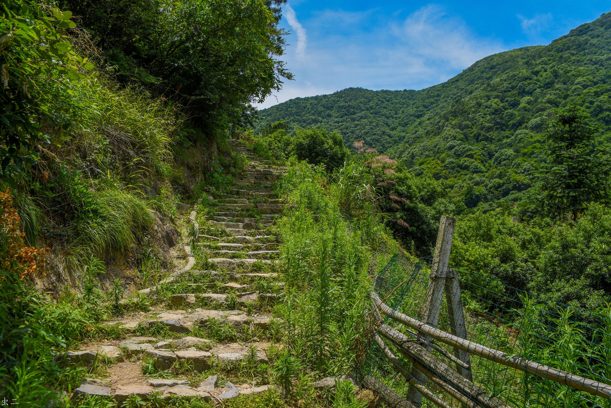 寧波栲栳山與鳴鶴古鎮遊記圖片44,慈溪旅遊景點,風景名勝 - 馬蜂窩