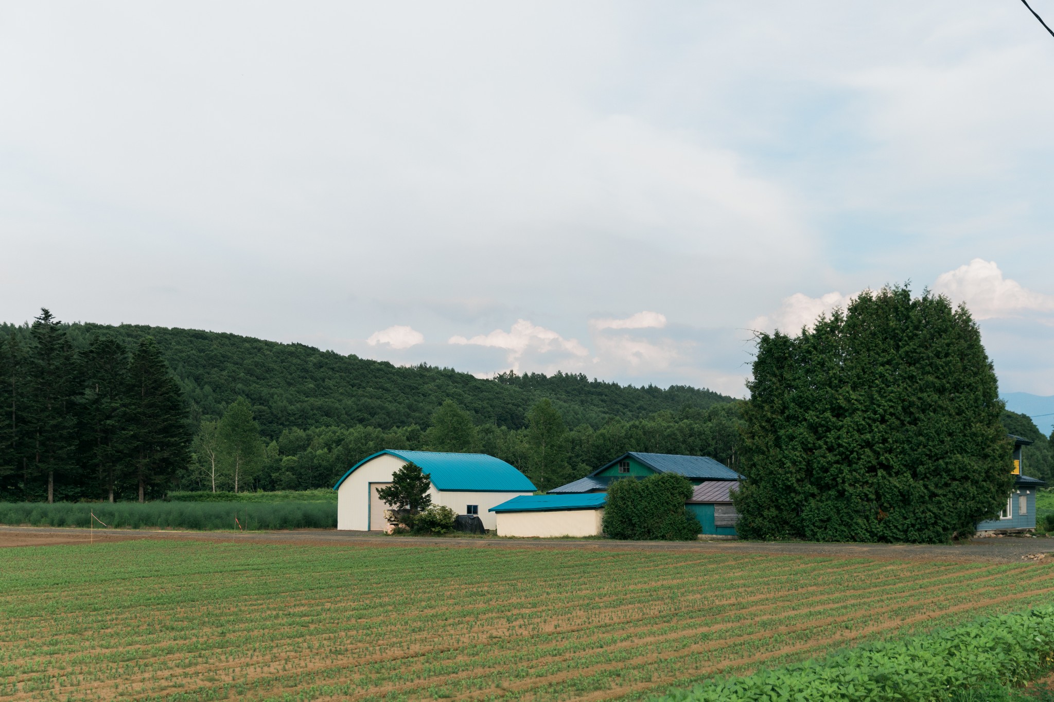 北海道自助遊攻略