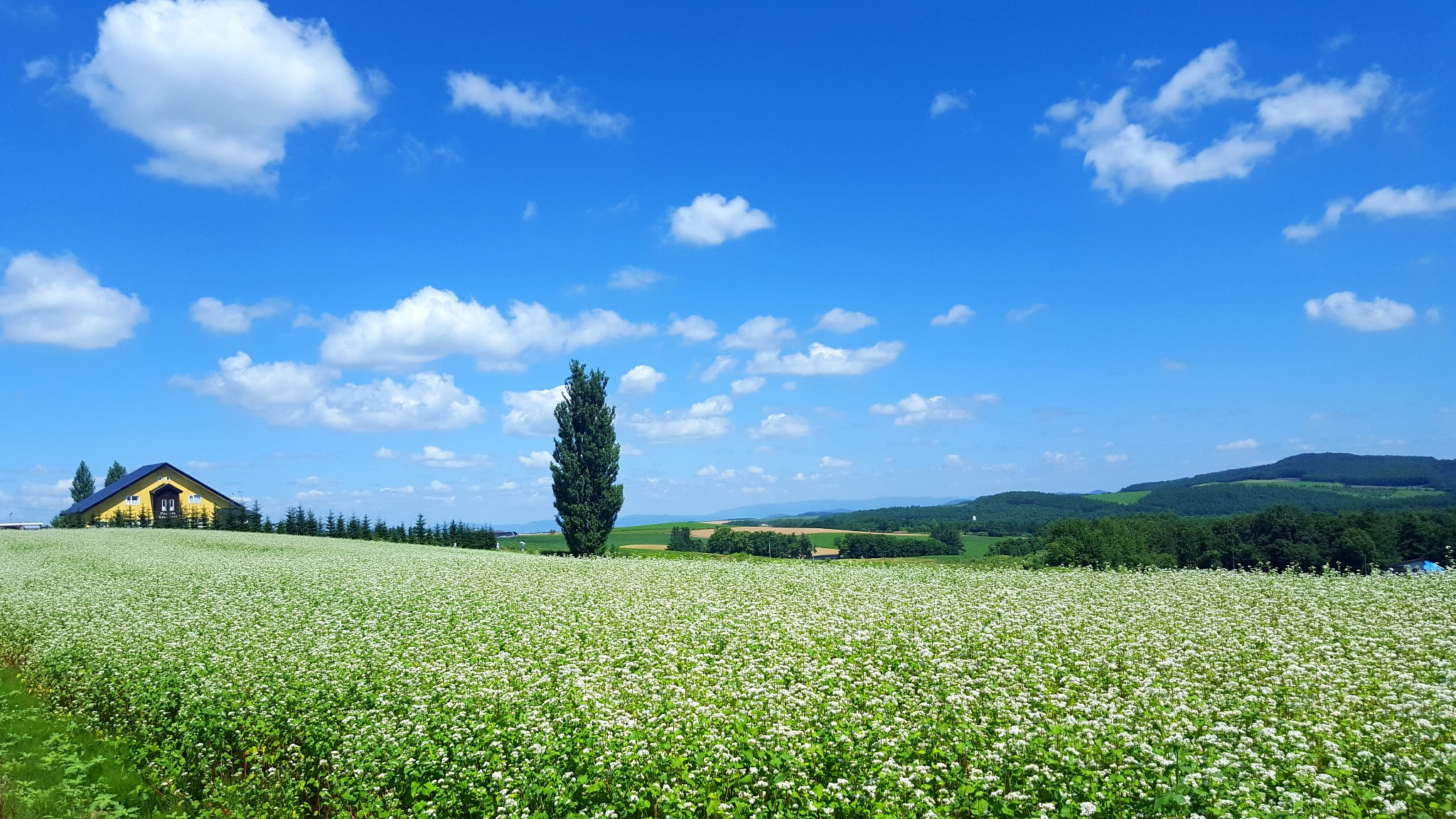 北海道自助遊攻略