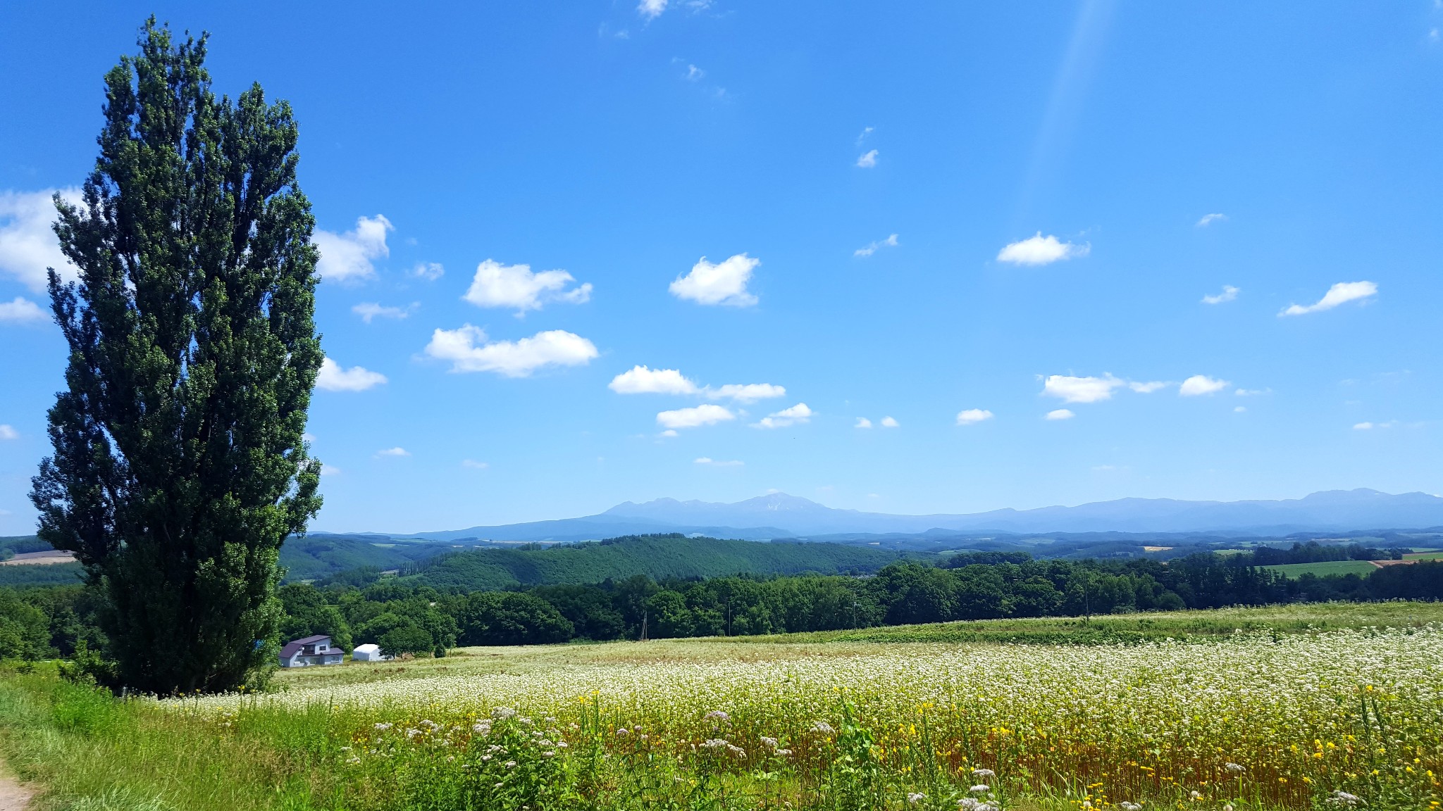 北海道自助遊攻略