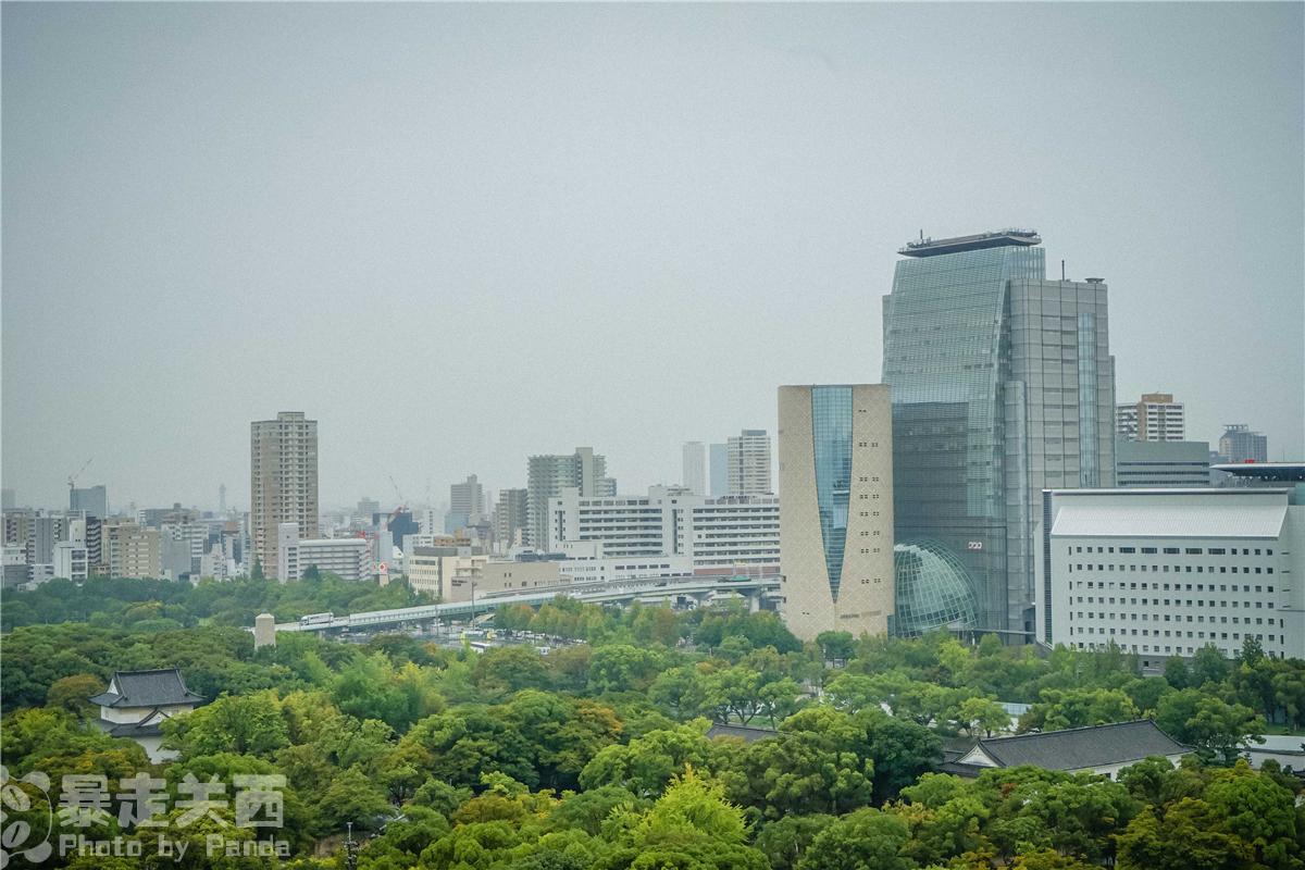 京都自助遊攻略