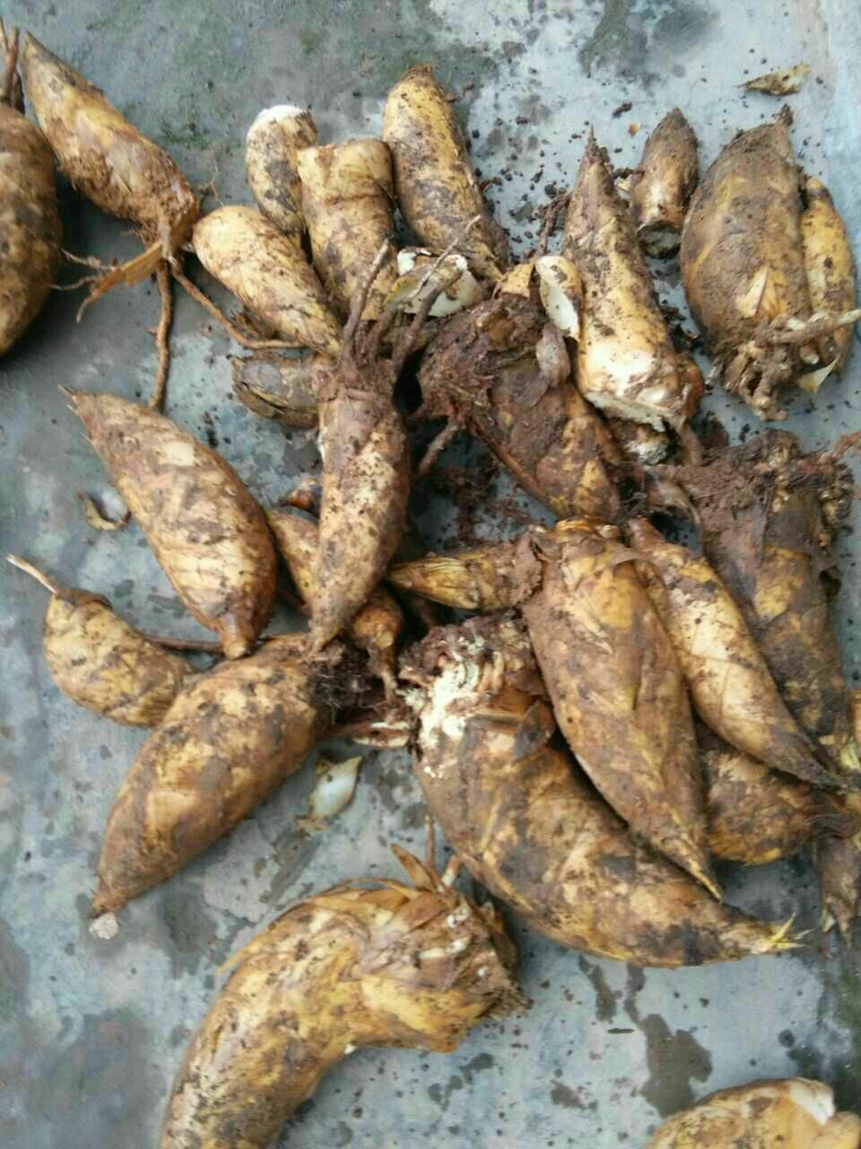 说说月明星稀的原理_工业设计 从天色微明到月明星稀,一起来感受时钟里的天色吧(2)