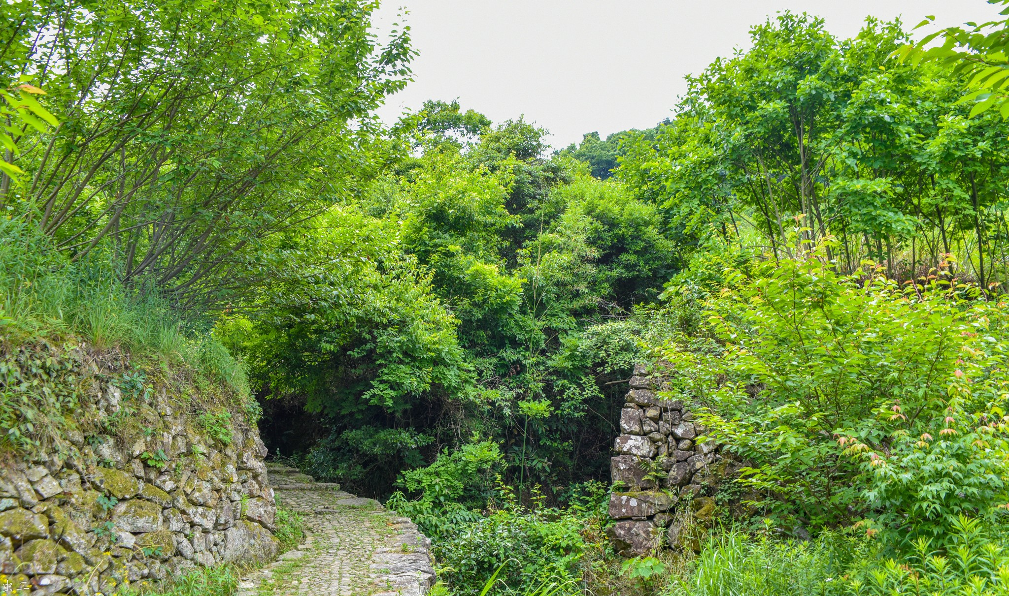 宁波菩提岭古道-风车公路游记,宁波旅游攻略 - 马蜂窝