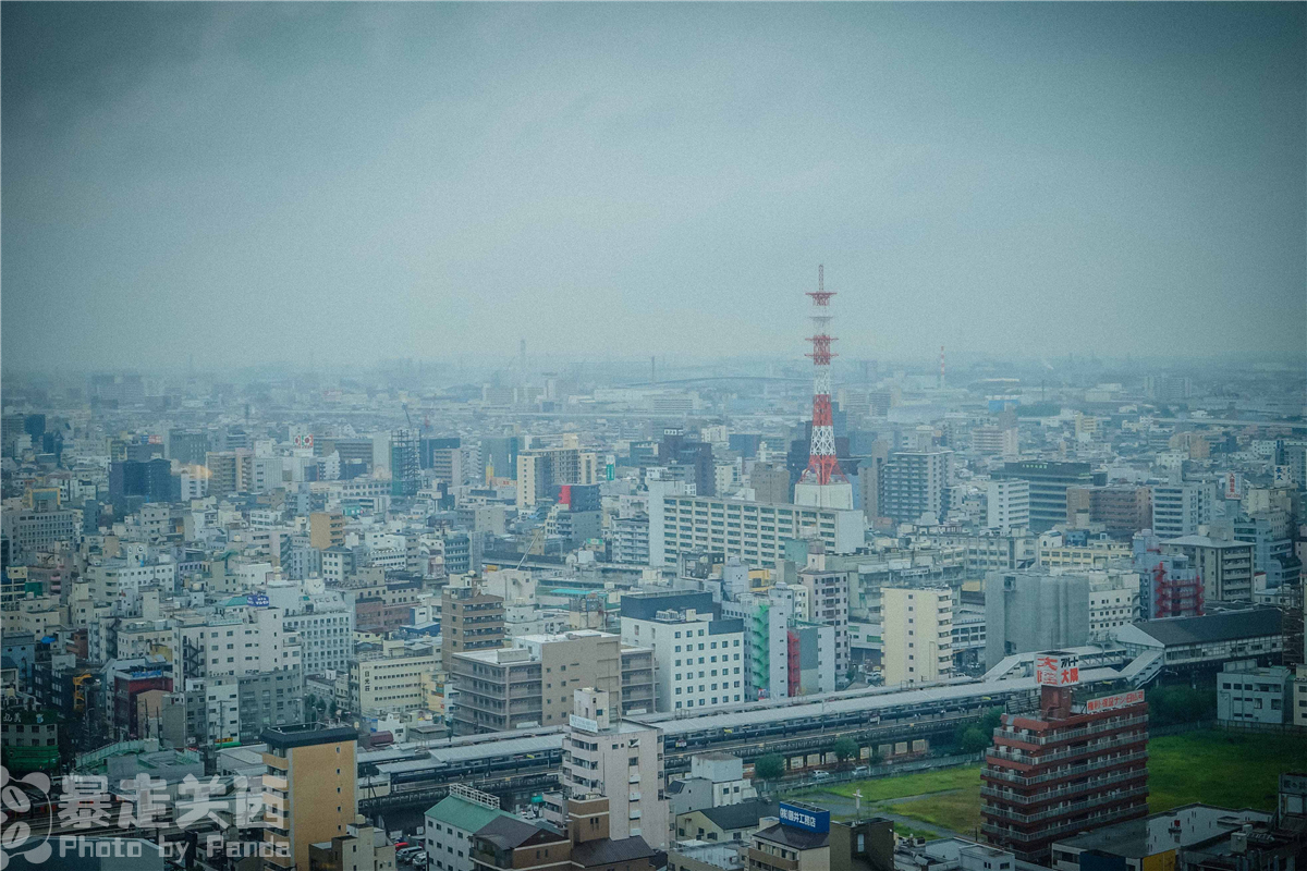 京都自助遊攻略