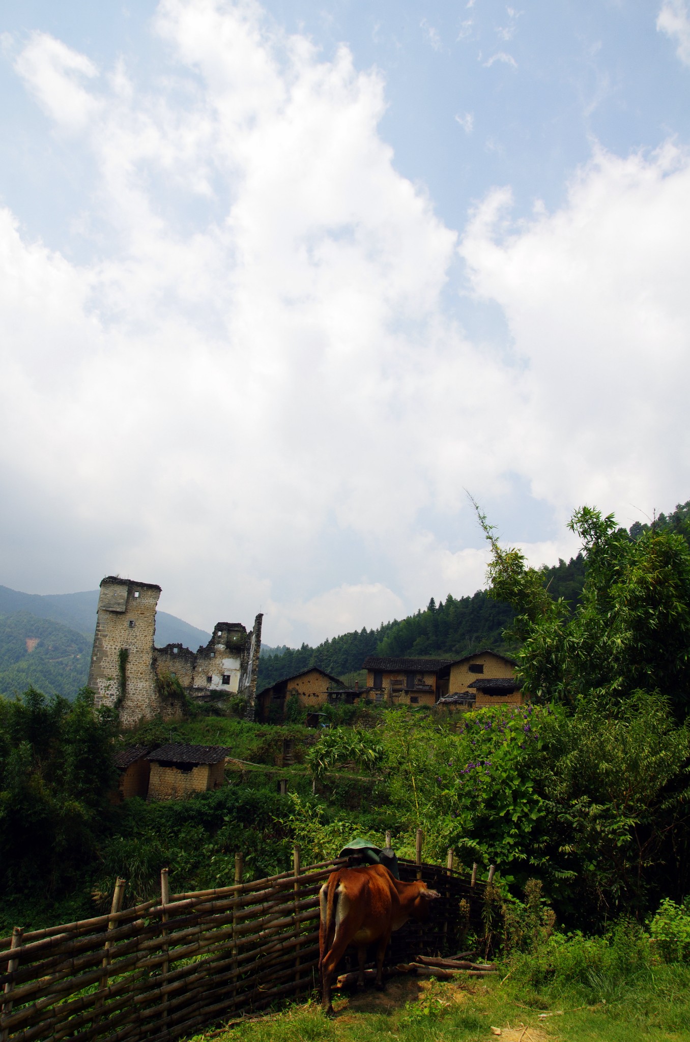 一道失去的美景-------始兴县马市镇文路村梯田,始兴旅游攻略 - 马