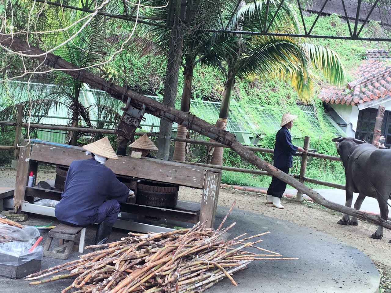 沖繩自助遊攻略