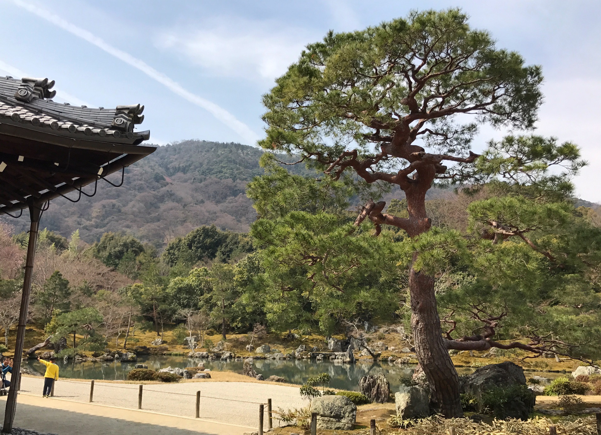 京都自助遊攻略