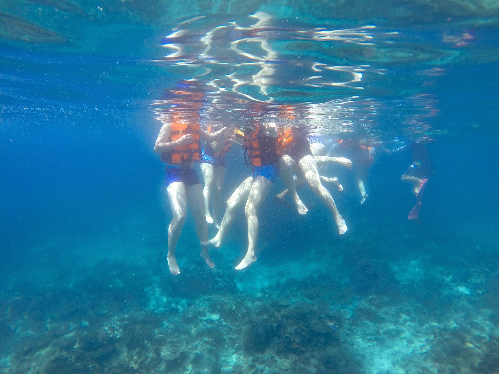 【马来西亚图片】