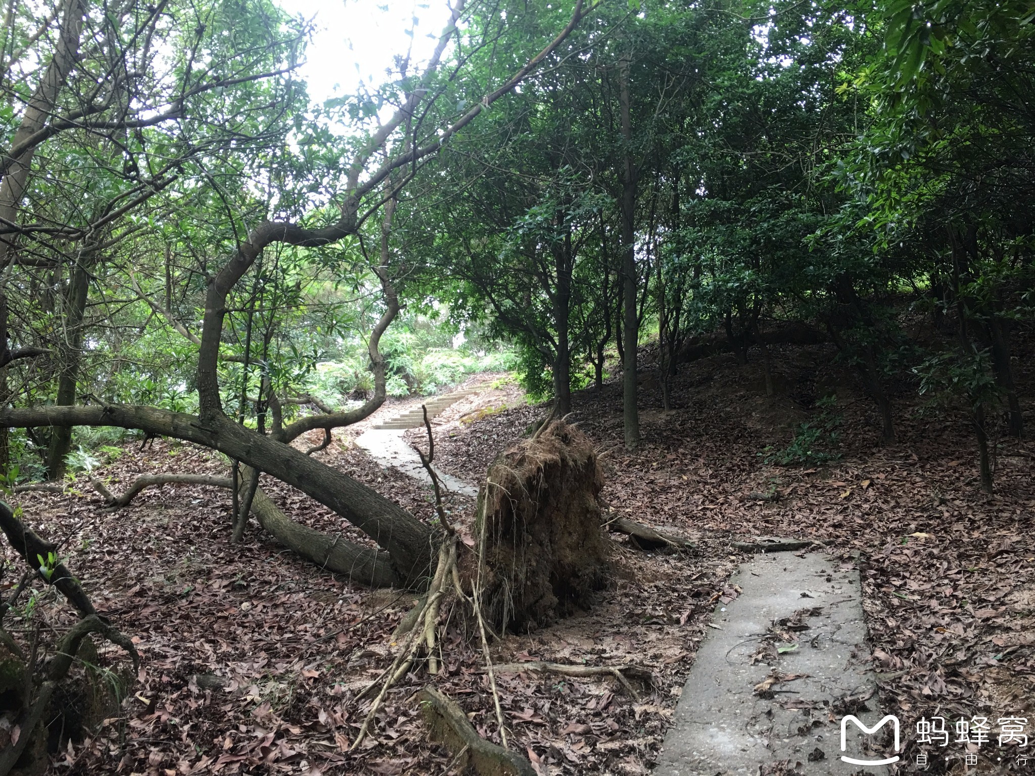 中山市南朗镇翠亨村犁头尖山