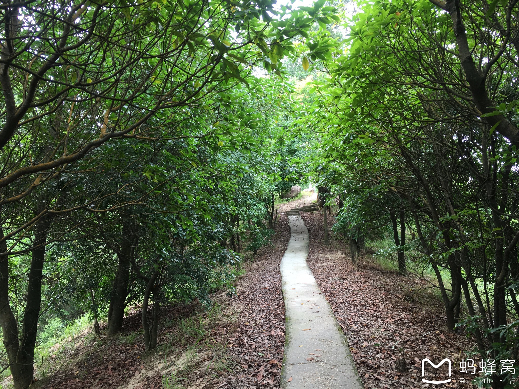 中山市南朗镇翠亨村犁头尖山