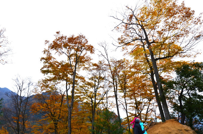 最美红叶光雾山 wKgBZ1jKTUaAQmqEABJherErw-838.jpeg?imageView2%2F2%2Fw%2F680%2Fq%2F90%7CimageMogr2%2Fstrip%2Fquality%2F90