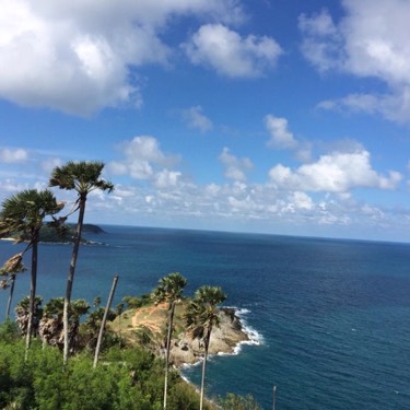 浮沉
