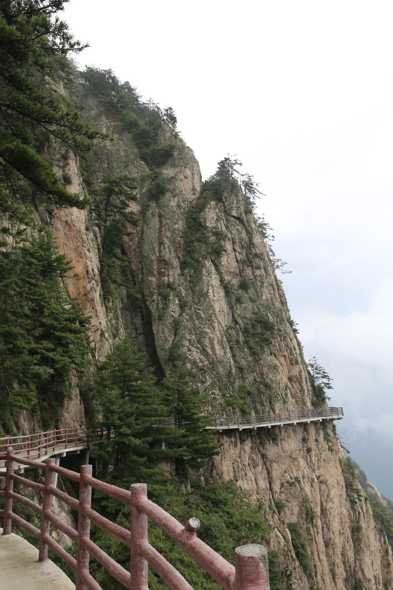 霧中的欒川老君仙山三日遊,欒川旅遊攻略 - 馬蜂窩