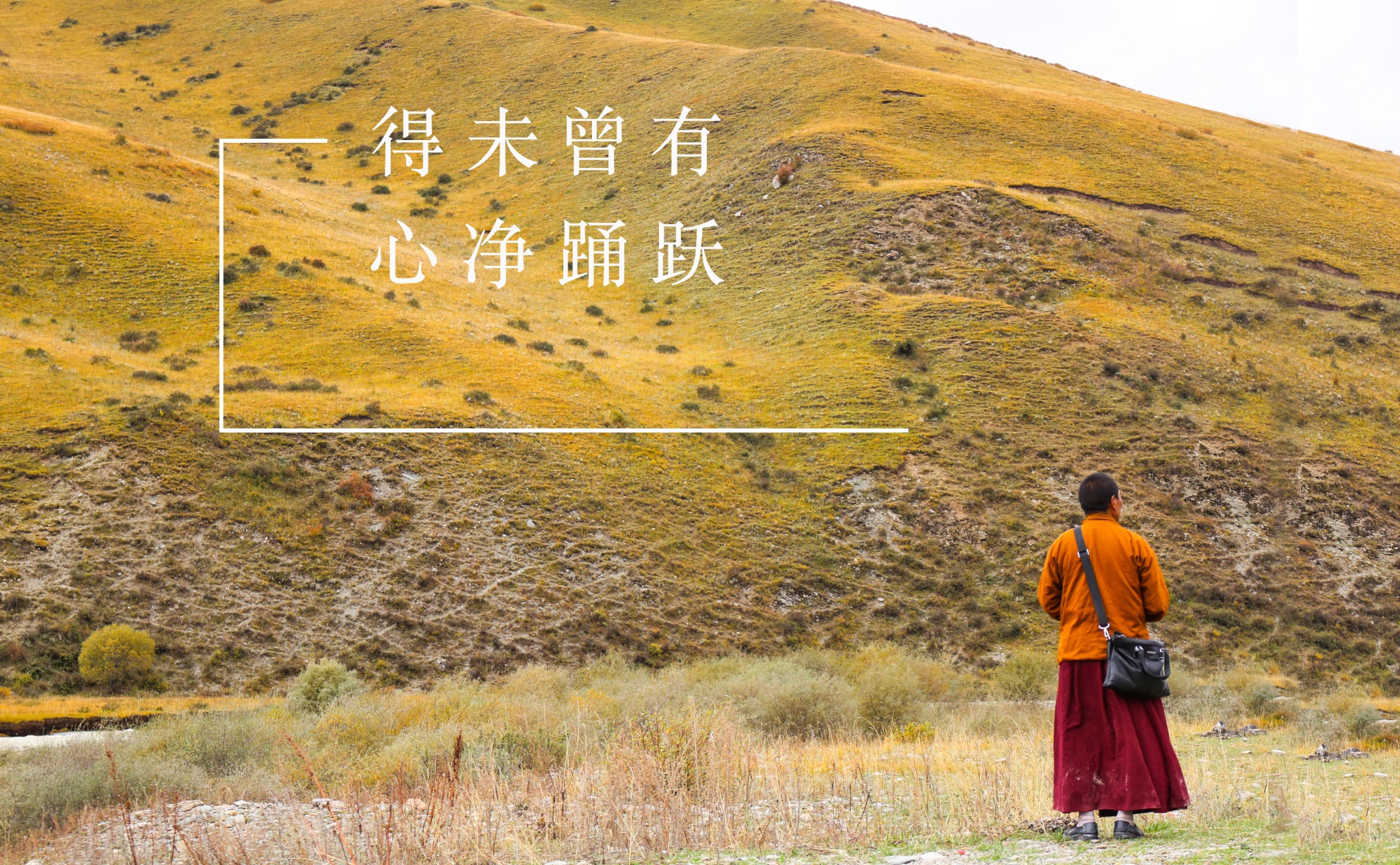 wKgBZ1nvUUOAVy3vABhBQfQDAcE80.jpeg?imageView2%2F2%2Fw%2F680%2Fq%2F90%7CimageMogr2%2Fstrip%2Fquality%2F90