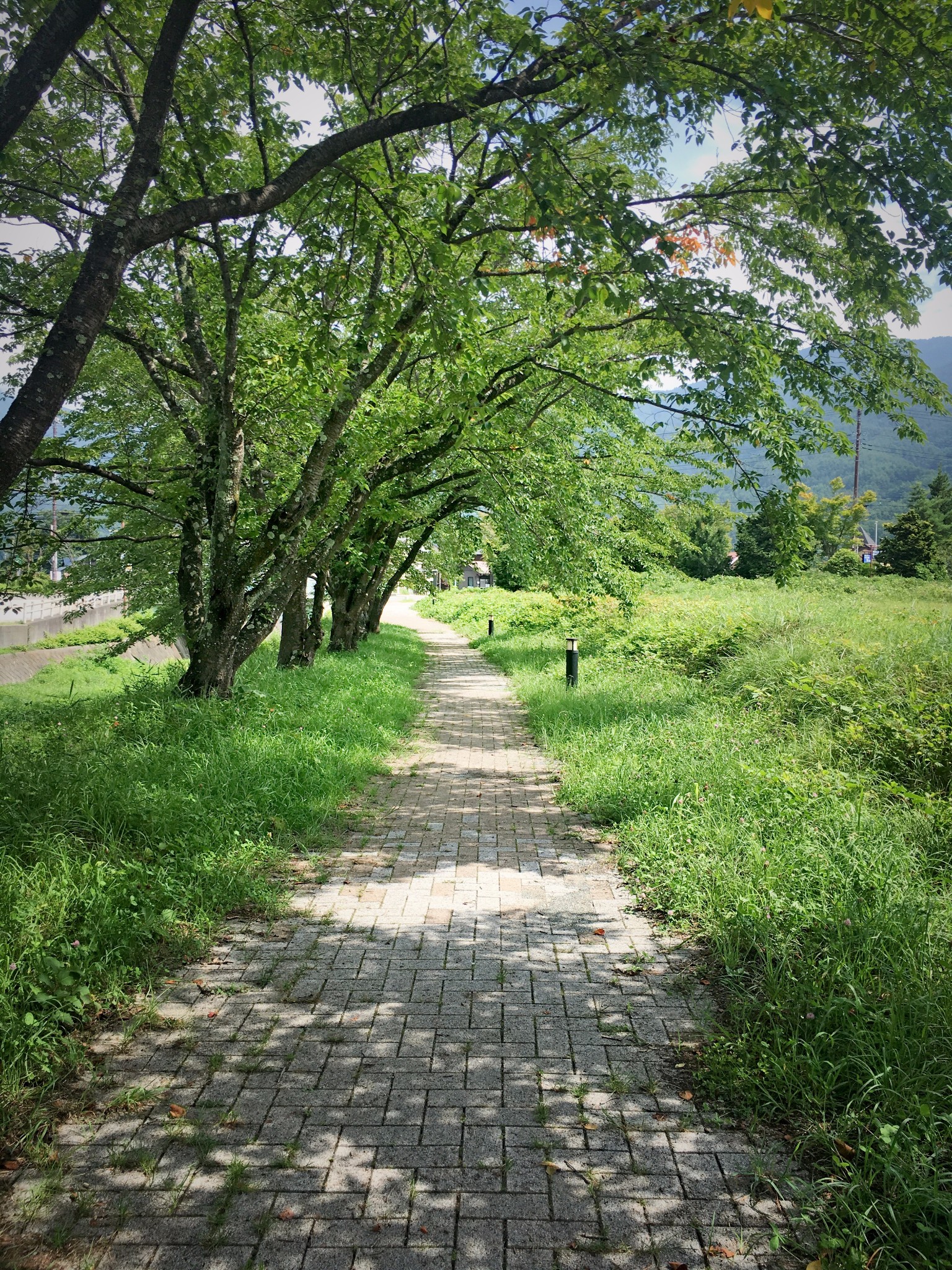 2017年脚盆国13日落地自驾后浅见五