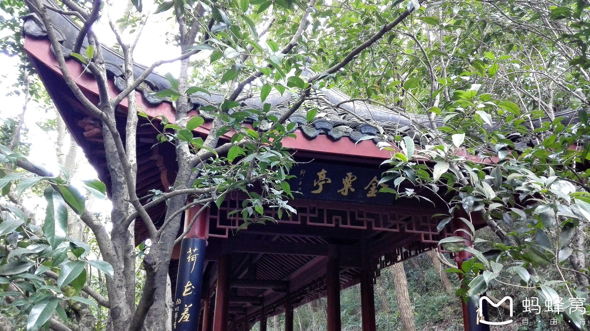 游览杭州的满陇桂雨公园儿童公园