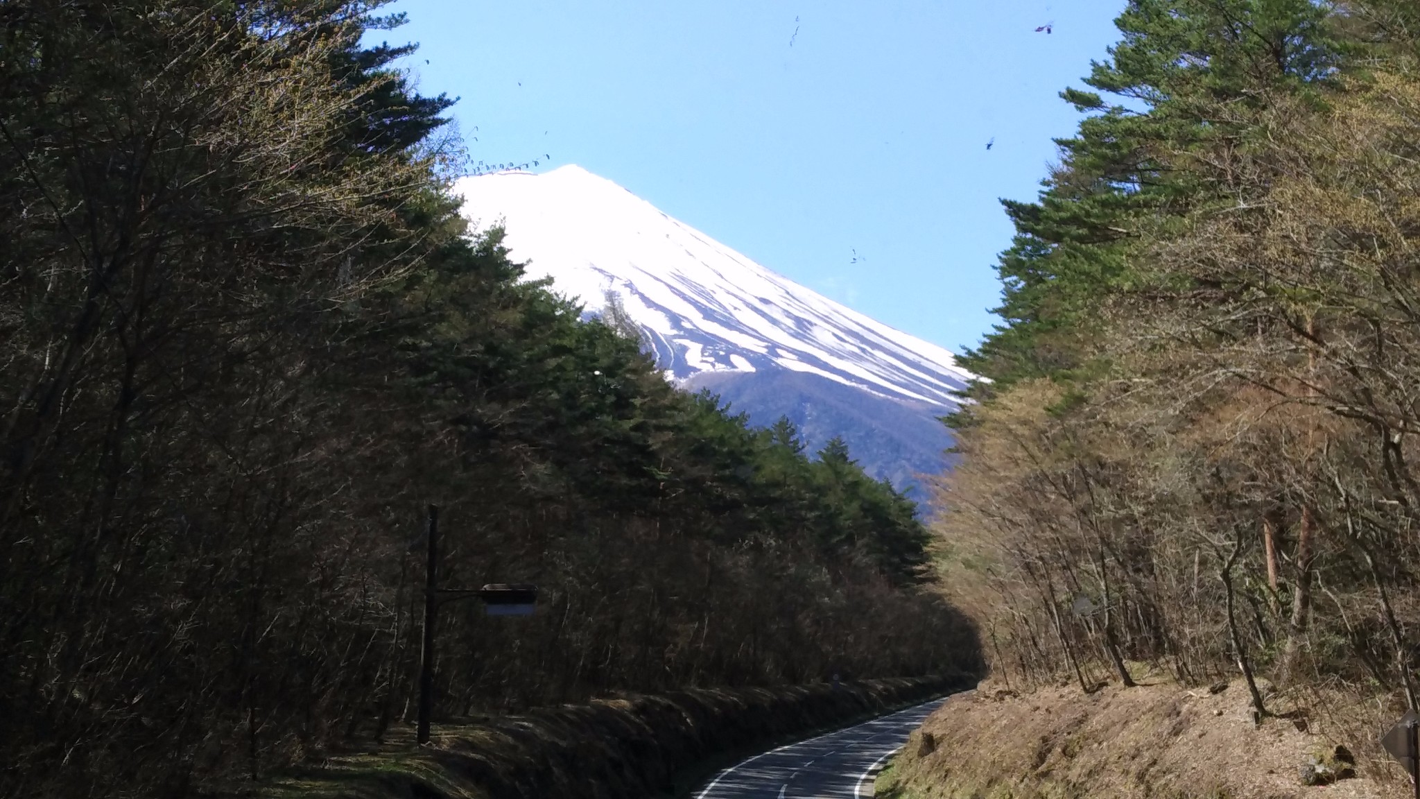 日本自助遊攻略