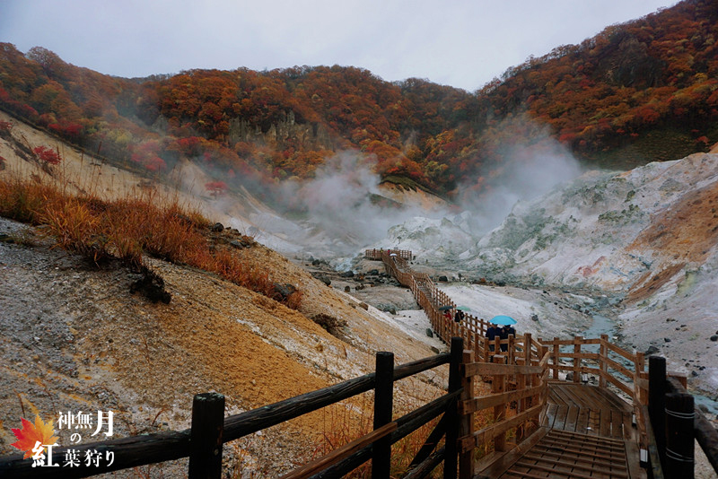 北海道自助遊攻略