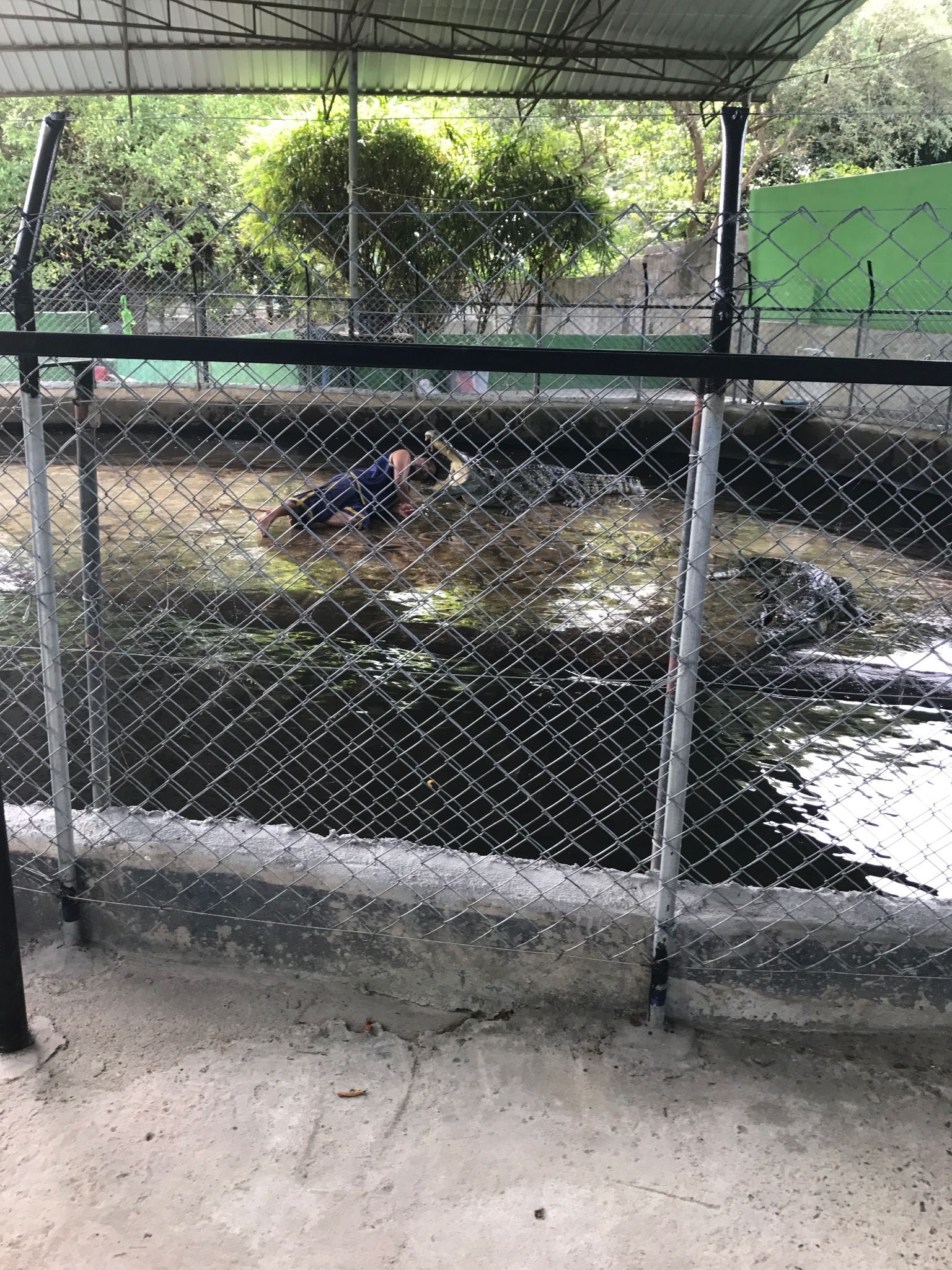 蘇梅島自助遊攻略