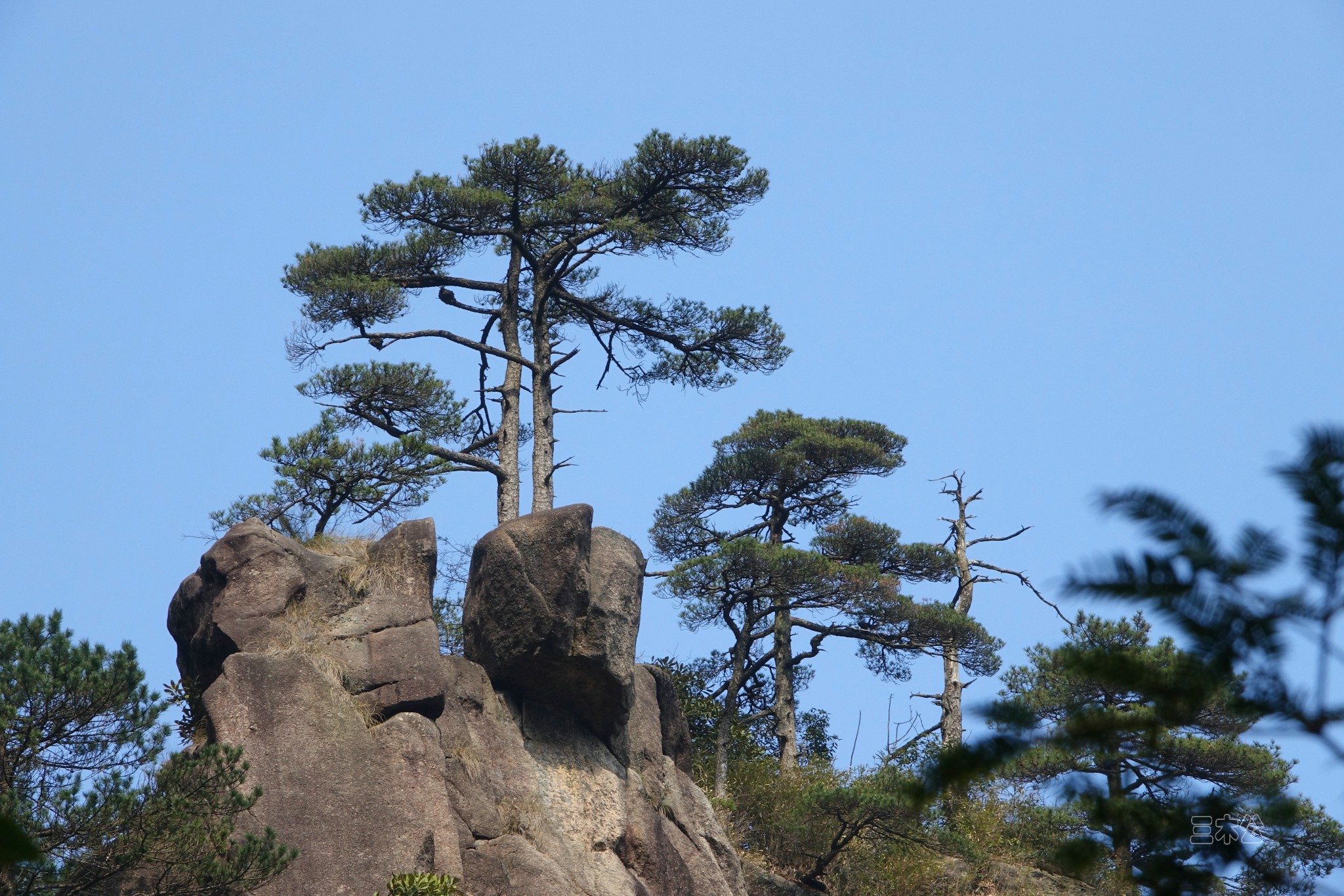 三清山自助遊攻略