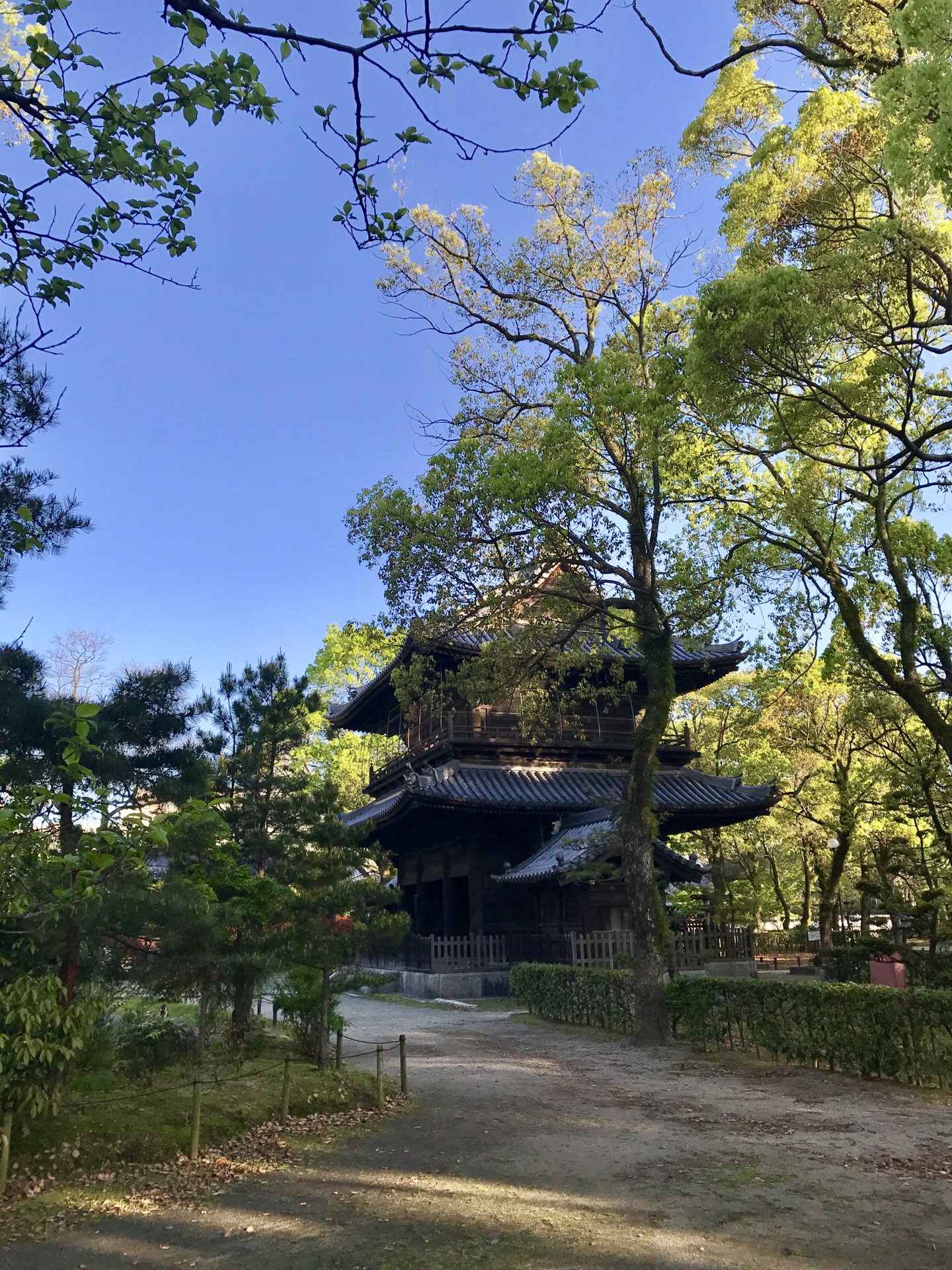 福岡自助遊攻略