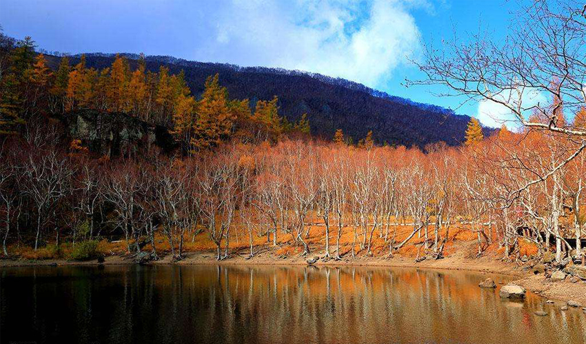 随后观赏一路之隔的【绿渊潭】,四周密树茂林,环境优雅,娴静,双瀑布