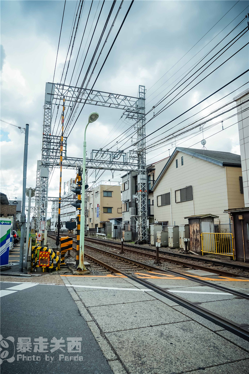 京都自助遊攻略