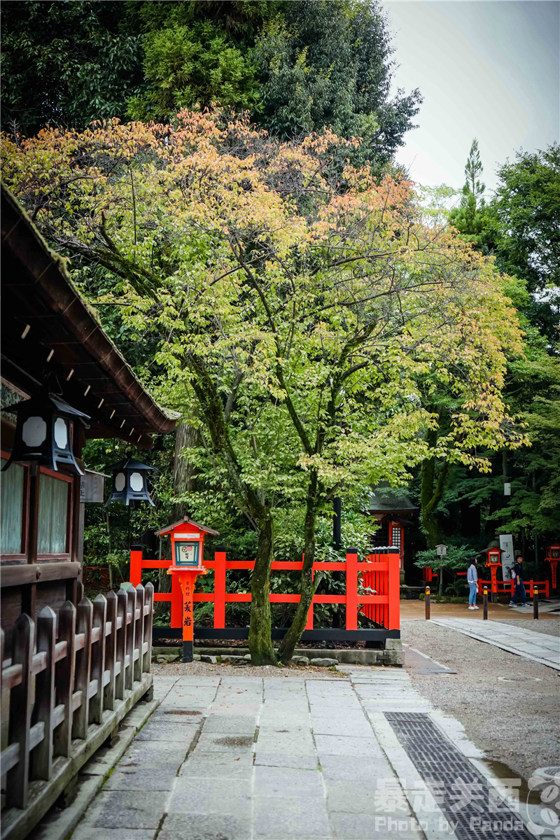 京都自助遊攻略