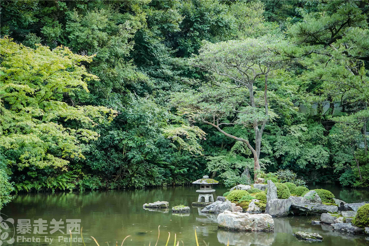 京都自助遊攻略