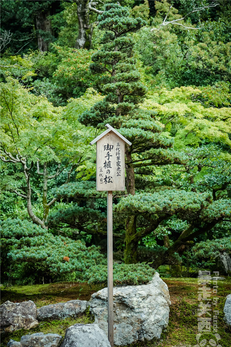 京都自助遊攻略