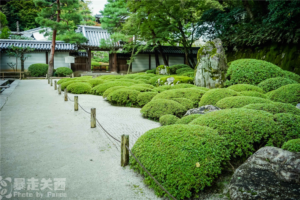 京都自助遊攻略