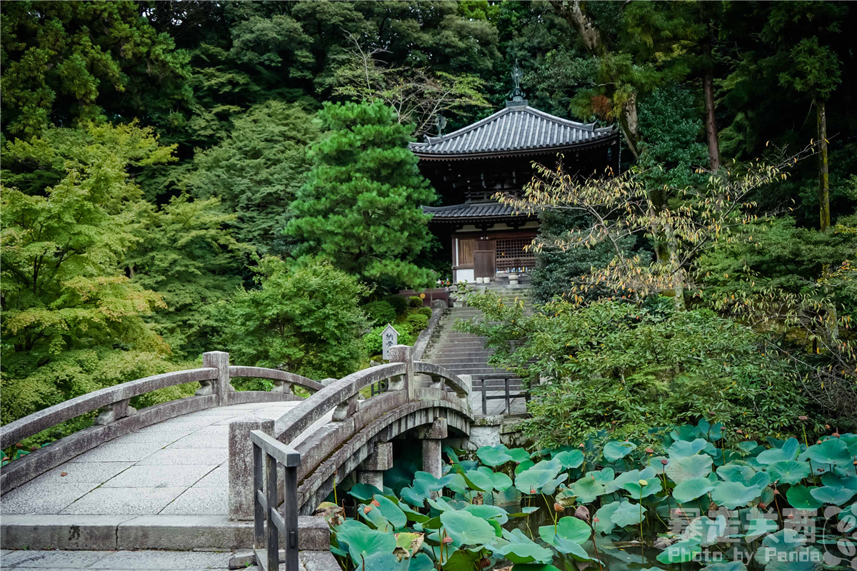 京都自助遊攻略