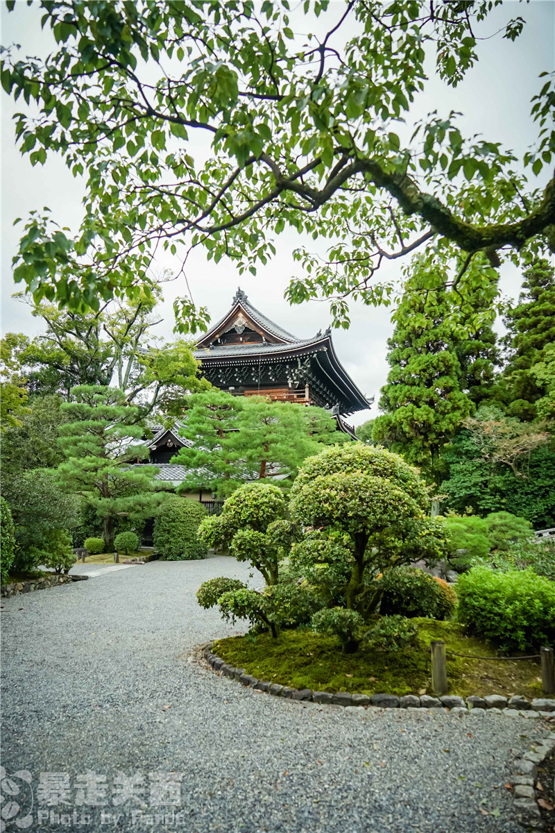 京都自助遊攻略