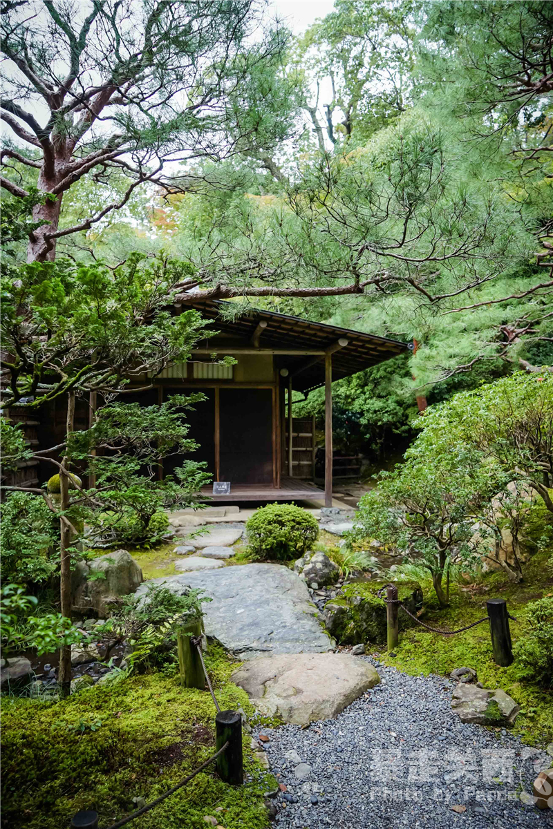 京都自助遊攻略