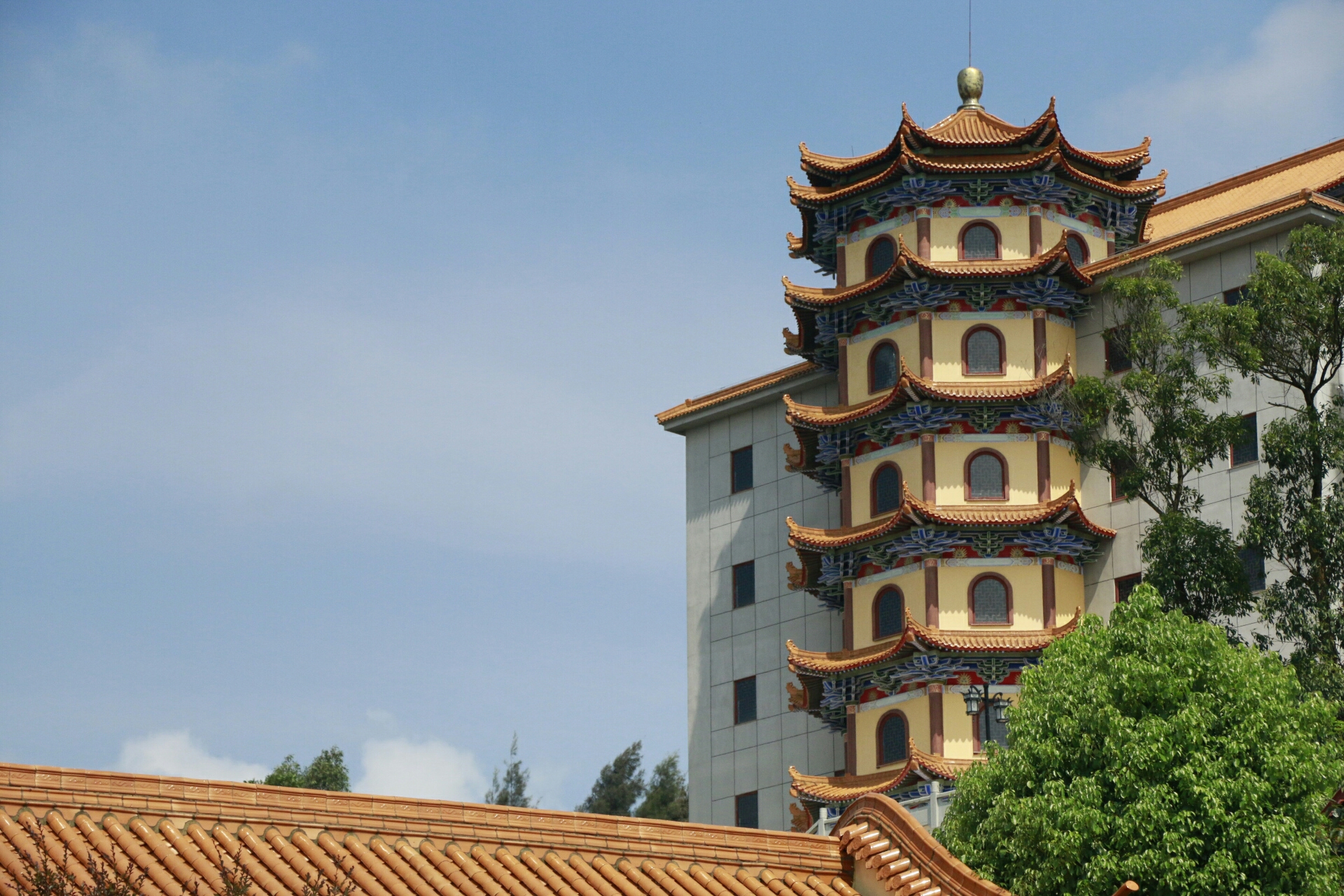 皮皮虾我们走温州洞头大门岛