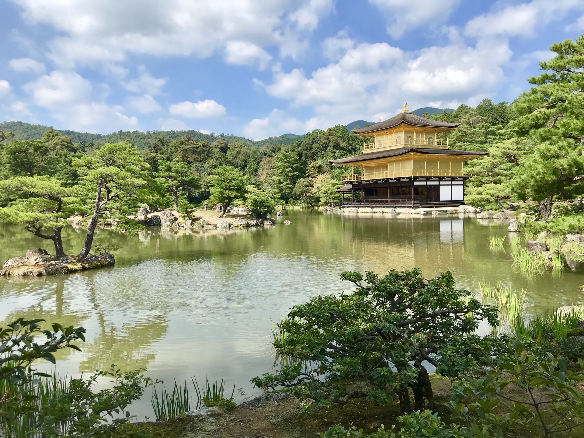 京都自助遊攻略