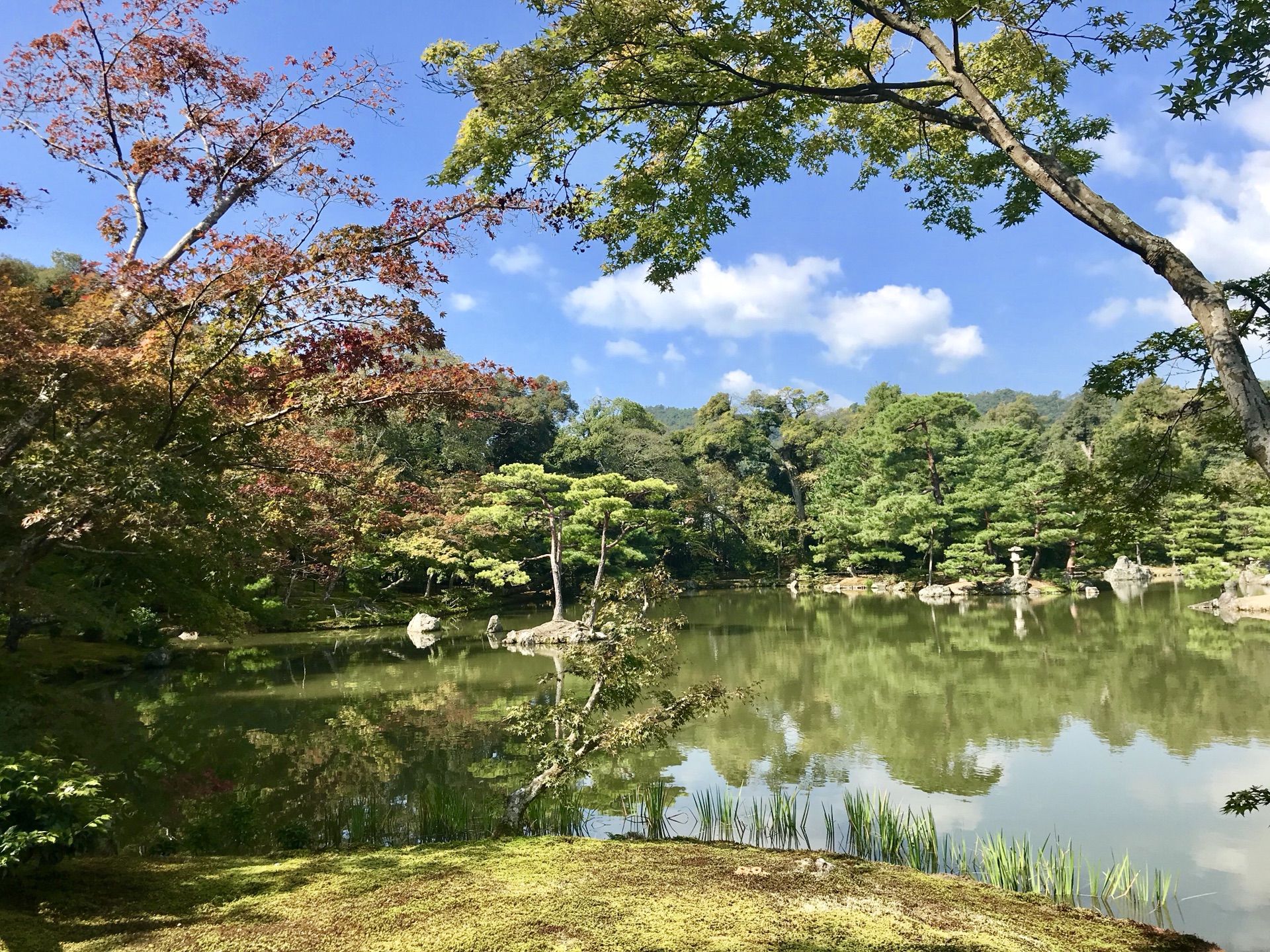 京都自助遊攻略