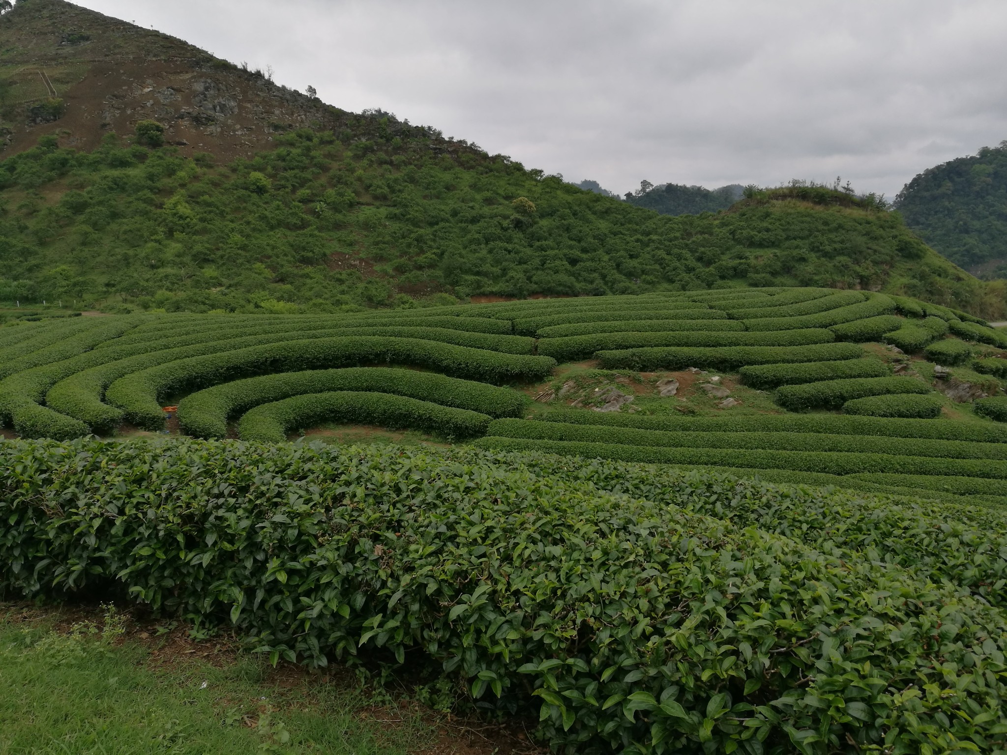 越南木州山区之旅,山罗省自助游攻略 - 马蜂窝