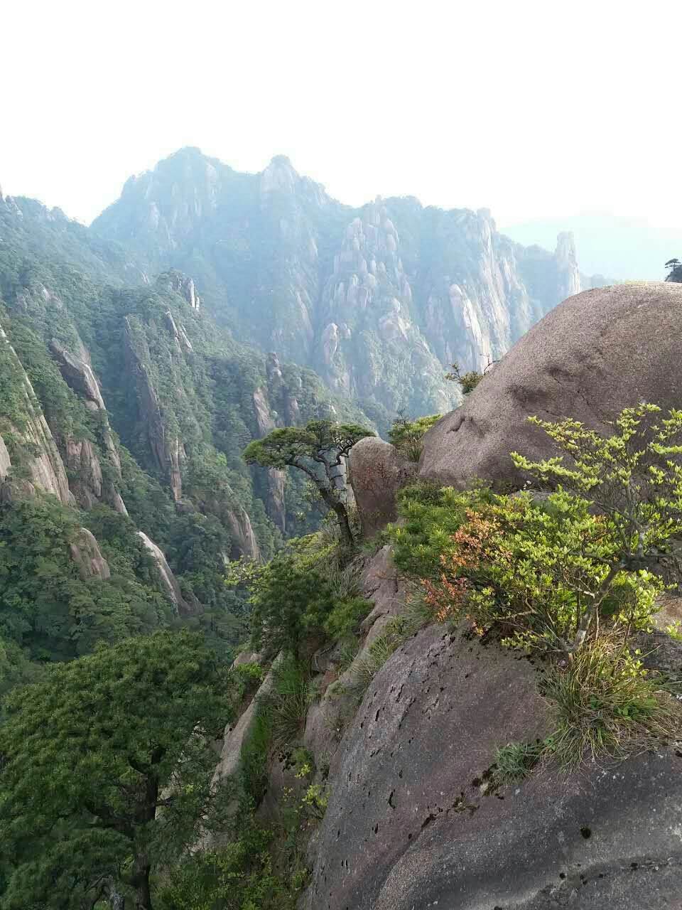 三清山自助遊攻略