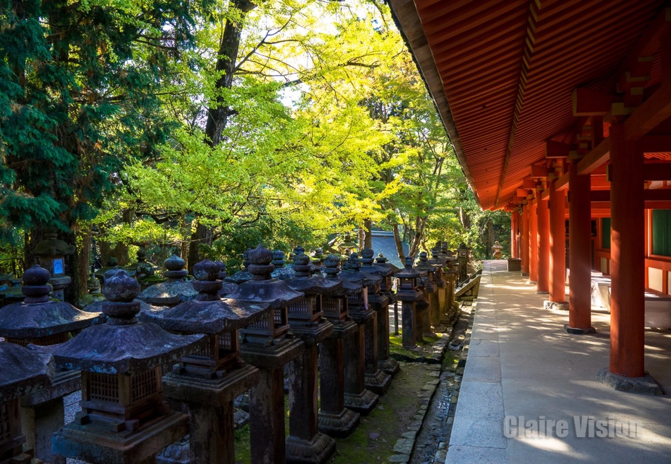 京都自助遊攻略