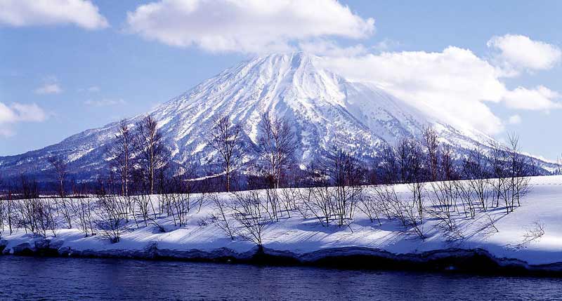 瀋陽起止 日本雙飛6日遊 東進阪出 東京 箱根 中部 奈良 大阪(富士山