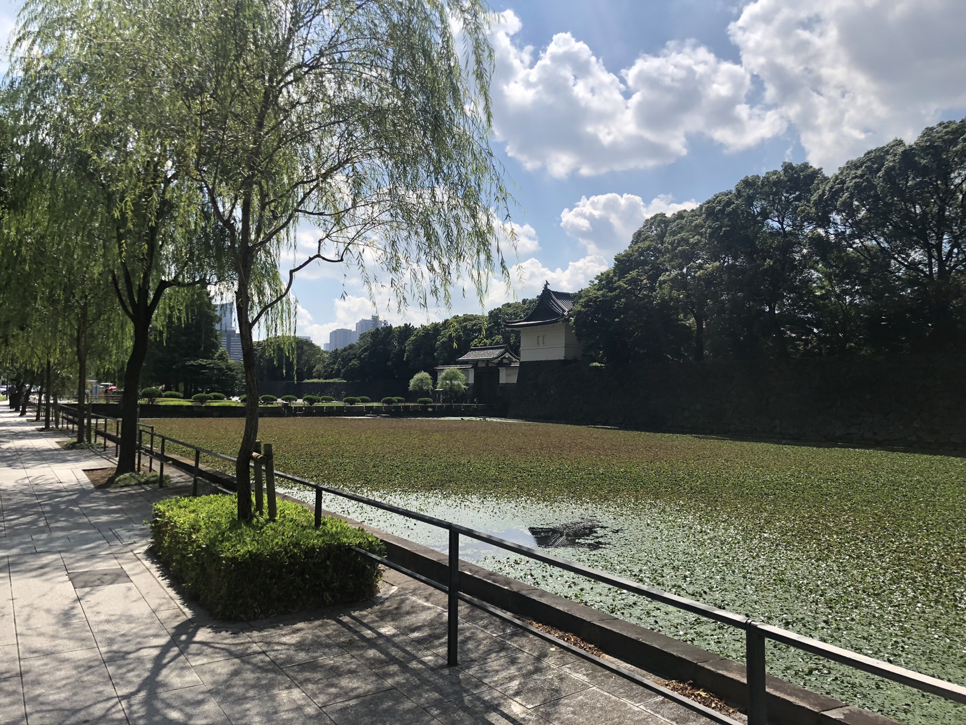 東京自助遊攻略