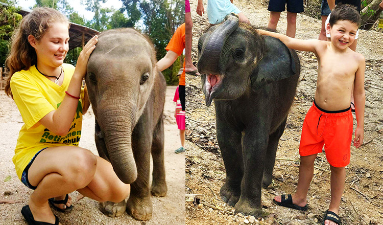 大象之国泰国游记，和大象来一次邂逅的地方