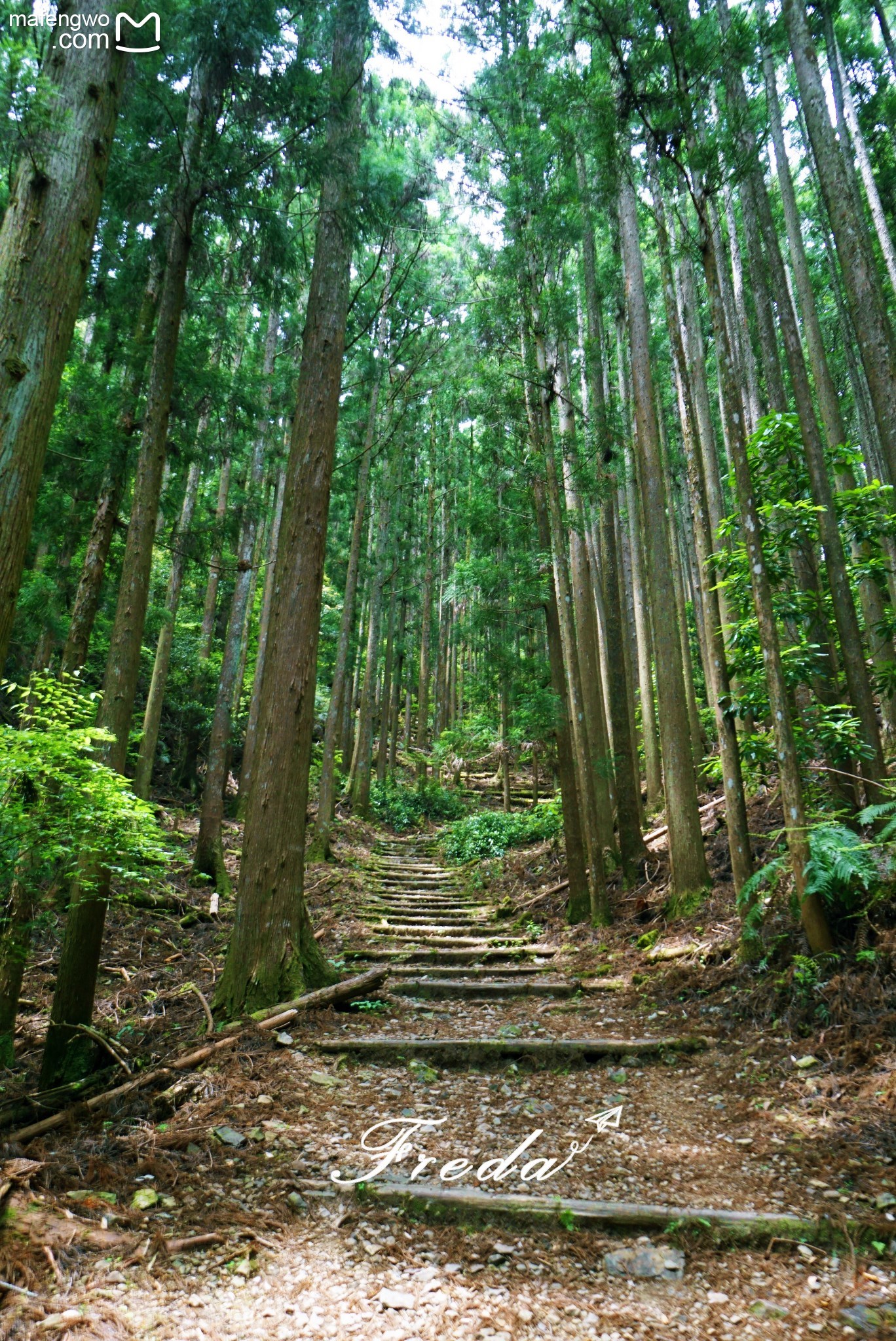 日本自助遊攻略