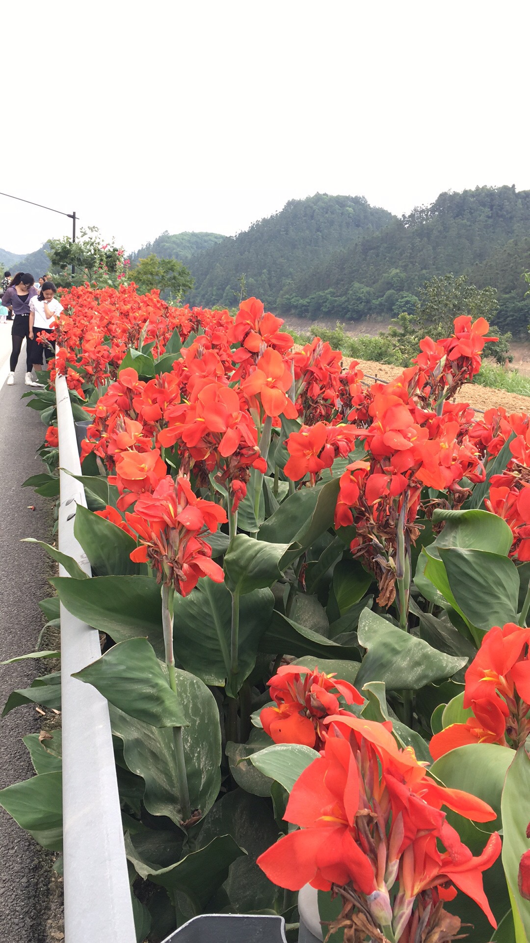 千島湖自助遊攻略